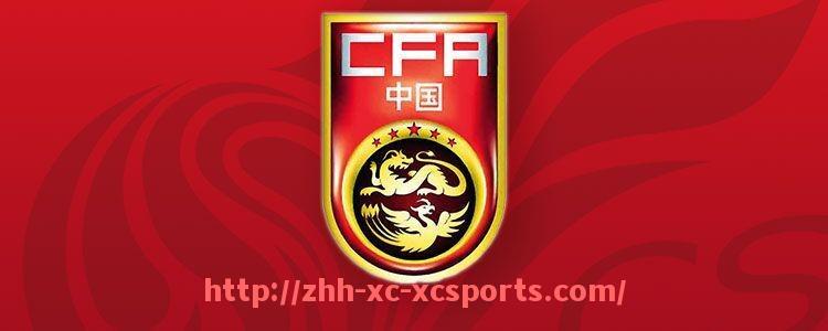 杏彩体育-英超联赛各足球队球衣大全及图文展示